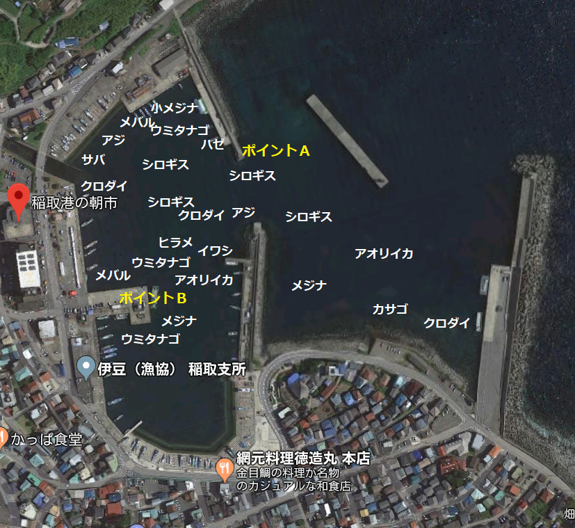 稲取港１
